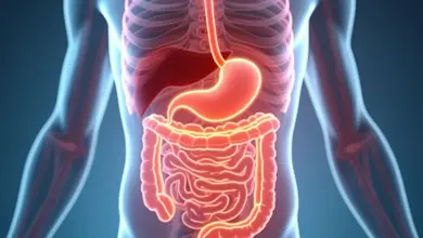 nemoci trávicí soustavy jak je rozpoznat – Jak rozpoznat nemoci trávicí soustavy: příznaky a diagnostika