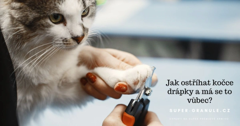 Ostříhání drápek kočce pomocí kleští