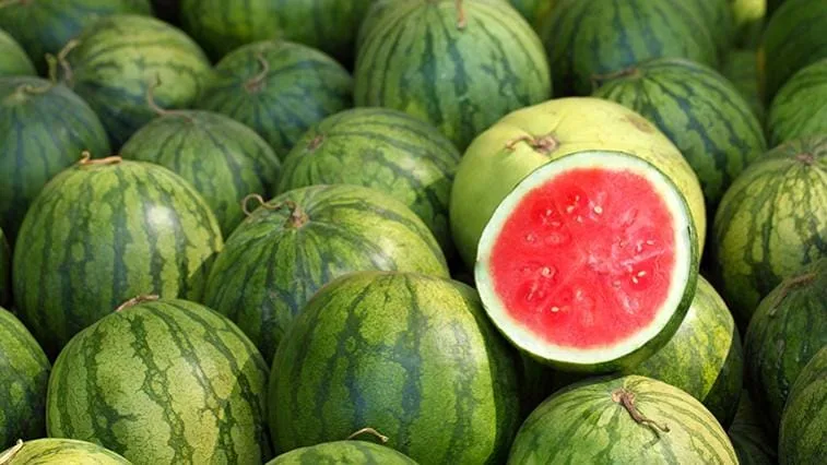 Skládka melounů s jedním nakrájeným na polovinu.
