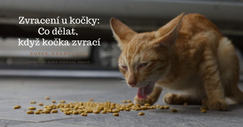 Kočka s vyplazeným jazykem u krmiva, zvracení