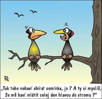 Kreslený vtip o dvou kukučicích na stromě.