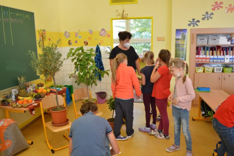 Děti s učitelkou kolem subtropických rostlin v třídě