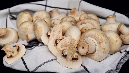 Čerstvé žampiony na kuchtě utěrce připravené pro vaření
