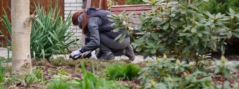 Osazení truhlíku rukama v zahradě s rostlinami