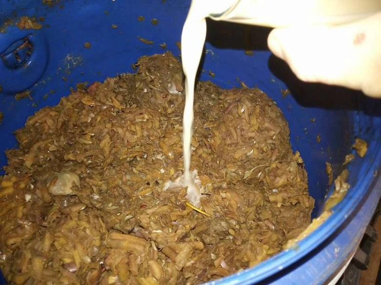 Bílá tekutina se nalévá na kvašenou ovocnou směs v modré nádobě.