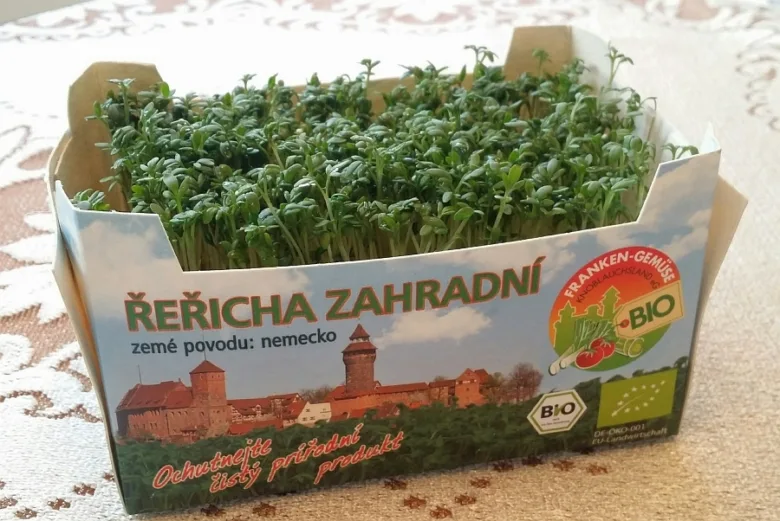 Bio řeřicha setá v kartonové krabici s německým původem.