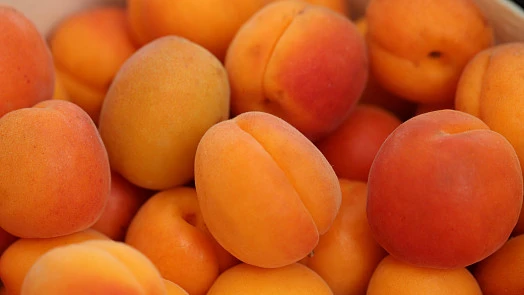 Sbírka zralých meruňek s oranžovou a červenou kůrou