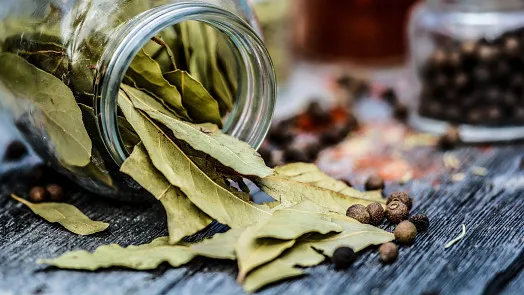 Poctivá svíčková recept a příprava krok za krokem